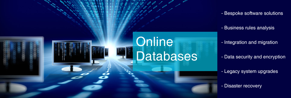 Online Database and Software Solutions